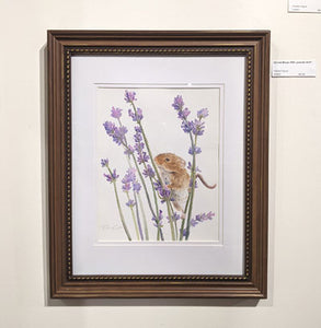 Dani Antes: Harvest Mouse With Lavender