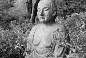 Ken Kipen: Buddha of the Peonies Card