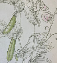 Load image into Gallery viewer, Bobbi Angell: Peas