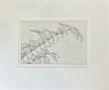 Load image into Gallery viewer, Bobbi Angell: Solomon's Seal