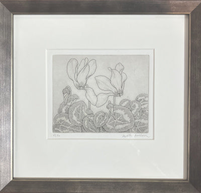 Bobbi Angell: Cyclamen