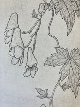 Load image into Gallery viewer, Bobbi Angell: Monkshood Vine