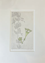 Load image into Gallery viewer, Bobbi Angell: Parasol Flower