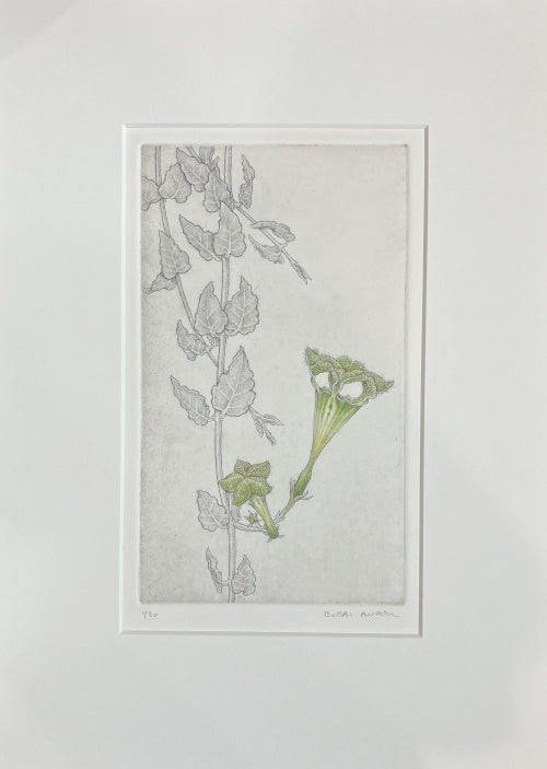 Bobbi Angell: Parasol Flower