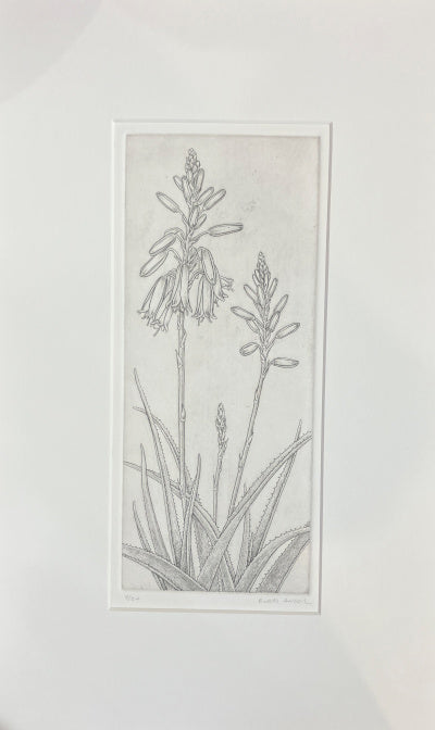 Bobbi Angell: Grassie Lassie