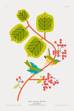 Load image into Gallery viewer, Don Carter: Pine Swamp Warbler Print
