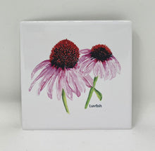 Load image into Gallery viewer, Dora Dylanne Reyes: Pink Coneflower Coaster