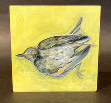 Load image into Gallery viewer, Holly Tomlinson: Byrds 2