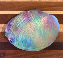 Load image into Gallery viewer, Jeremy Sinkus: Cosmic Abalone Shell