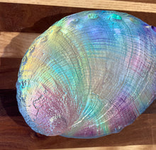 Load image into Gallery viewer, Jeremy Sinkus: Cosmic Abalone Shell
