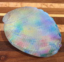 Load image into Gallery viewer, Jeremy Sinkus: Cosmic Abalone Shell