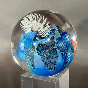 Josh Simpson Contemporary Glass: 2.25" Inhabited Planet