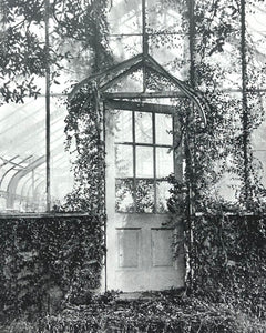 Ken Kipen: Greenhouse Ruin Card