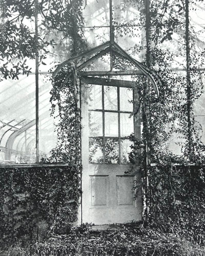 Ken Kipen: Greenhouse Ruin Card