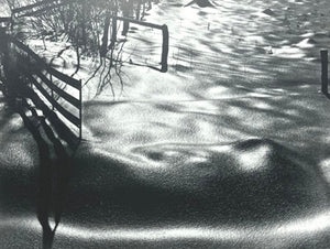 Ken Kipen: Ice Glazed Noon Card