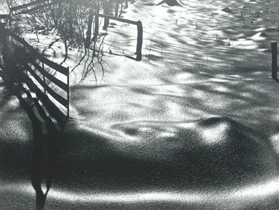 Ken Kipen: Ice Glazed Noon Card