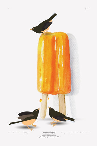 Luvfish & Slothman: Snow Bird and Orange Popsicle