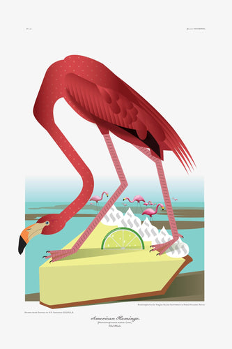 Luvfish & Slothman: Flamingo with Key Lime Pie
