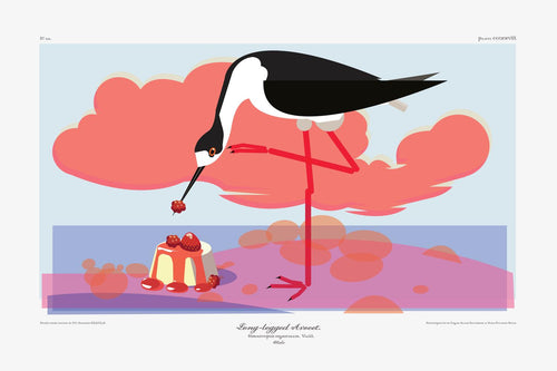 Luvfish & Slothman: Long-legged Avocet with Panna Cotta