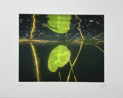 Lisa Beskin: An X