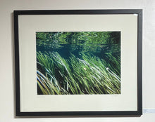 Load image into Gallery viewer, Lisa Beskin: River Grasses