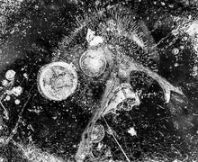 Load image into Gallery viewer, Lisa Beskin: Entropy
