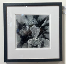 Load image into Gallery viewer, Lisa Beskin: Fracture 1