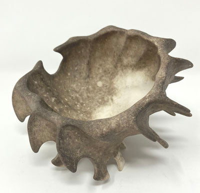 Lulu Fichter: River Pod