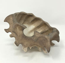 Load image into Gallery viewer, Lulu Fichter: River Pod