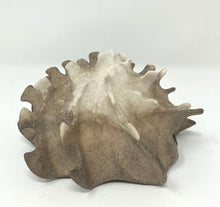 Load image into Gallery viewer, Lulu Fichter: River Pod