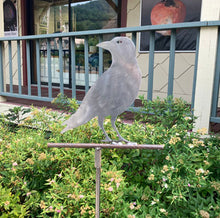 Load image into Gallery viewer, Piper Glass &amp; Steel: Single Crow