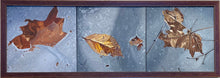 Load image into Gallery viewer, Robert Steinem: Thawing