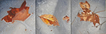 Load image into Gallery viewer, Robert Steinem: Thawing