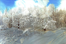 Load image into Gallery viewer, Robert Steinem: Wild Raspberries