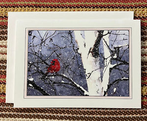Polly French: Cardinal, Birch and Snow Card