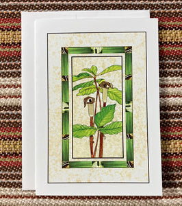 Polly French: Jack-in-th-Pulpit Card