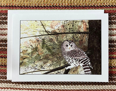 Polly French: Barred Owl Card