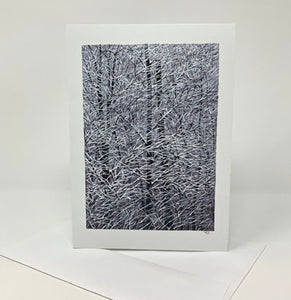 Trina Sears Sternstein: Black, White & Mauve Card