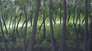 Trina Sears Sternstein: Magic Woods