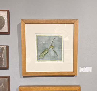 Thayer Tomlinson: Leaf Study, Elm