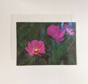 Norma Jean Donaldson: Pack of 6 Cards, Pink Flower