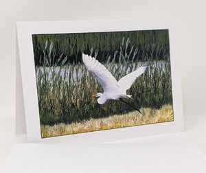 Polly French: 5 Cards, Herons & Egrets