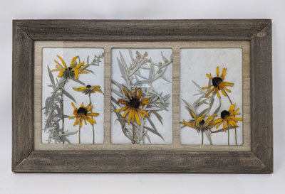 Melissa Ashton: Dried Flower Collage