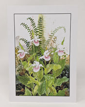 Load image into Gallery viewer, Polly French: 3 Cards, Ladyslippers