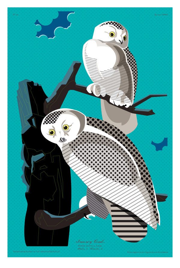 Don Carter: Snowy Owl Print