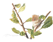 Load image into Gallery viewer, Dani Antes: Harvest Mouse On Leafy Branches