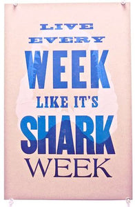 Chris Campbell: Shark Week Broadside