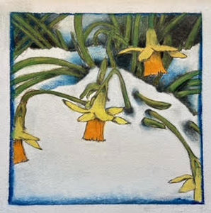 Rebecca Clark: Daffodils in the Snow